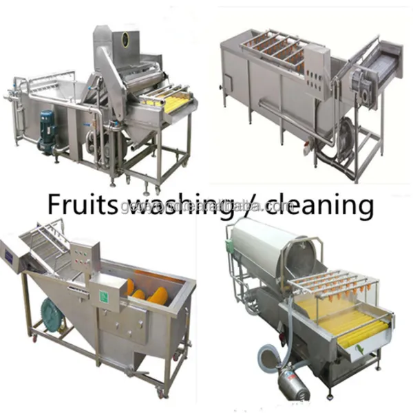 Washing Machine Small Production Capacity Washing for Fruit photo-4