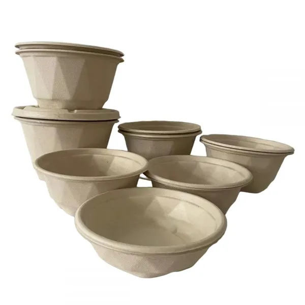 7 Inch Disposable Bowl 600ml Sugarcane Bagasse Pulp Salad Bowl With Leak-Proof PET Lid photo-2
