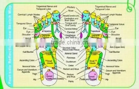 EA-F20 Physical Tens Body Massager photo-6