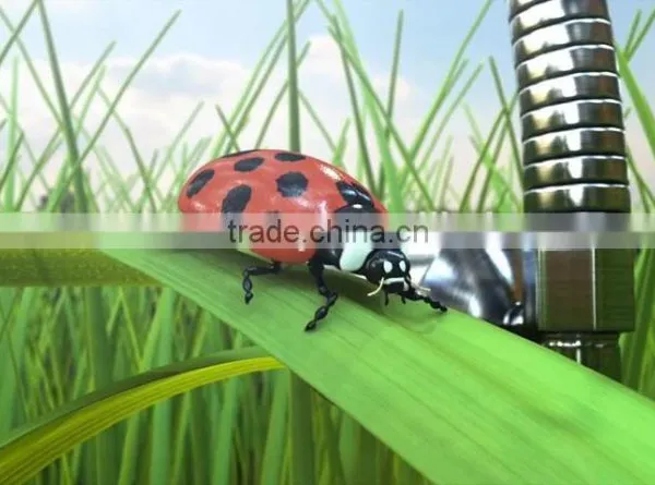 Free Online Animation Creator photo-5