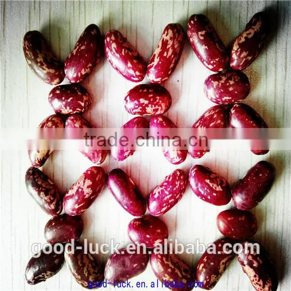 Chinese Purple Speckled Kidney Beans photo-4