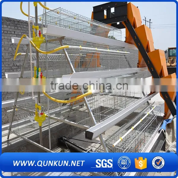 Samples of Poultry House for Layers photo-3