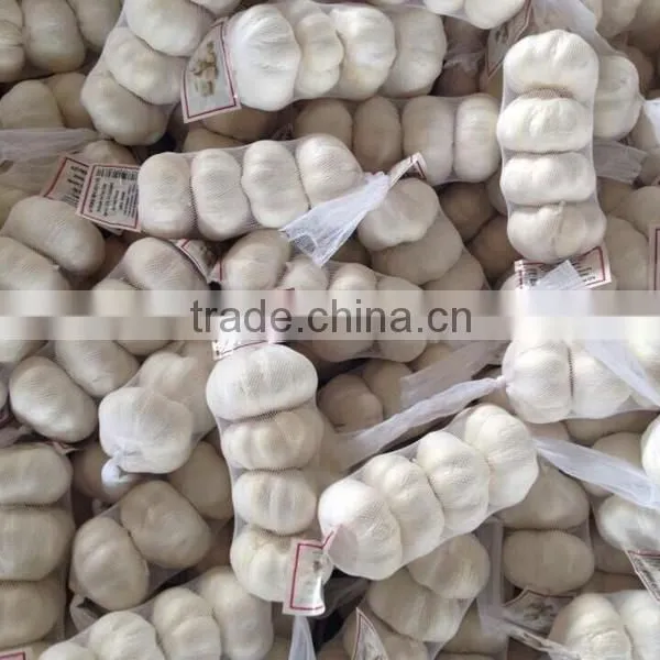 2015 New Season Chinese Garlic Wholesale Fresh Natural Garlic Normal White Garlic Pure White Garlic Purple Garlic photo-2