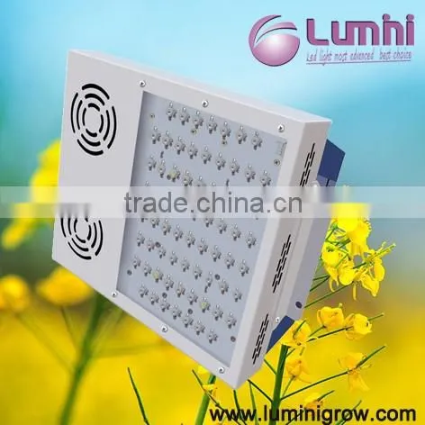 Lumini Led Grow Lights Led Plant Light Bulb for Greenhouse Indoor Grow Plants