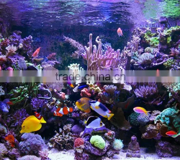 60-80cm Marine Tank Led Aquarium Light Progammbale Dimmable 4 Channels Control photo-4