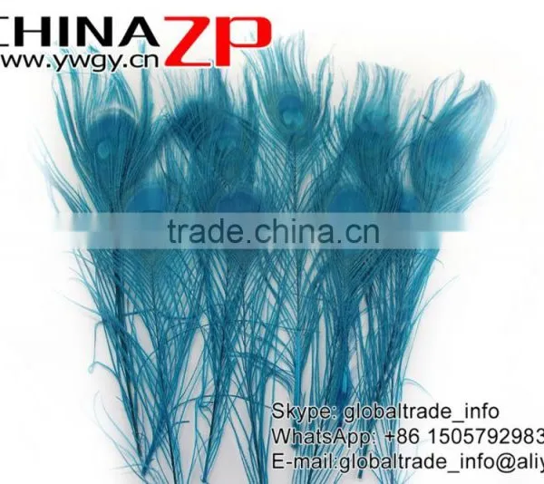 CHINAZP Leading Supplier Wholesale Cheap Full Eye Dyed Turquoise Blue Peacock Tail Feathers for Sale photo-3