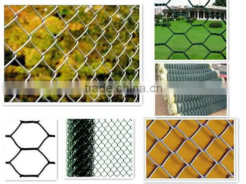 Pvc Coated Hexagonal Wire Mesh/hexagonal Chicken Wire Mesh photo-6