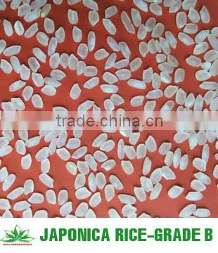 VIETNAMESE MEDIUM GRAIN RICE 5% BROKEN - USD400-450/MT photo-2