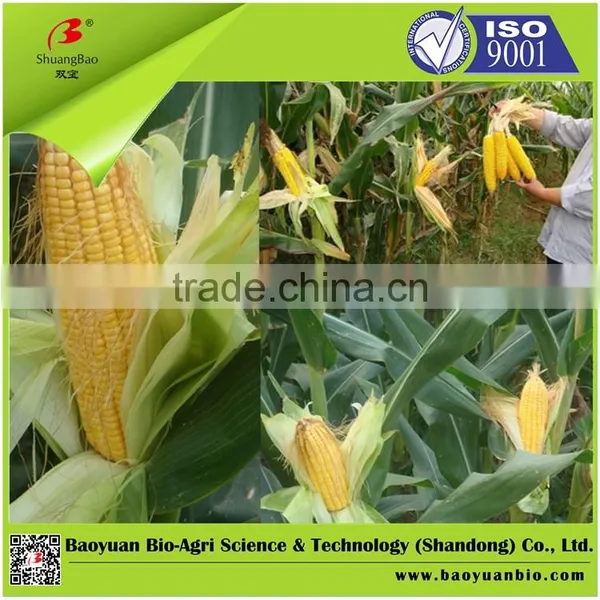 Compound NPK Agro Fertilizer 22-20-8 photo-4