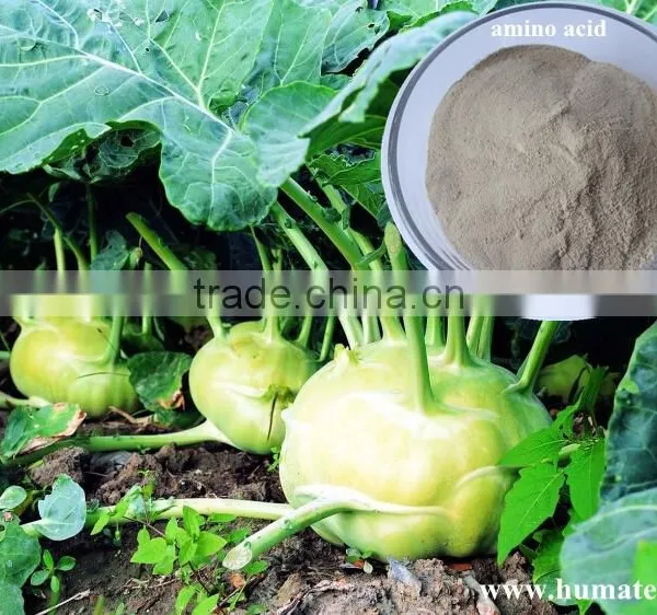 Honganyuan Compound Amino Acid / Soya Bean Extract Amino Acid Powder photo-4