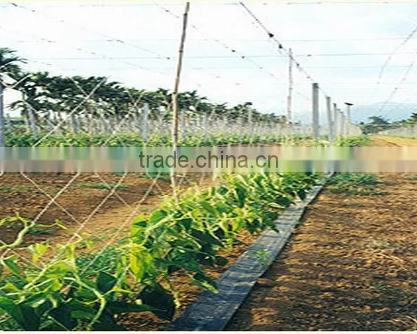 Plant Support Net/ Plant Climbing Net photo-6