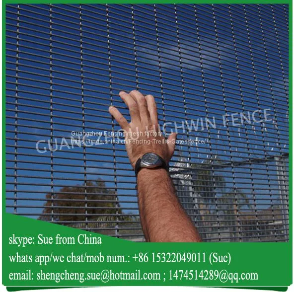 High Security Dense Hole Welded Mesh Snake Fence Export (China Manufacturer)