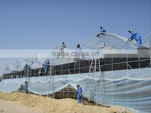 Greenhouse for Agriculture Hydroponics photo-4