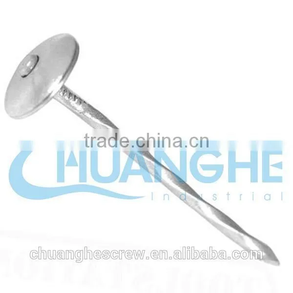 Square Head Corrugated Roofing Nails photo-4