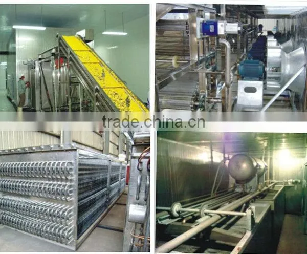 Iqf Tunnel Freezer Potato Chips Machine Blast Freezer photo-2