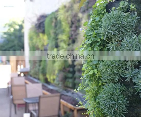 Top Quality Artificial Plant for Decore Artificial Plant Wall Outdoor photo-5