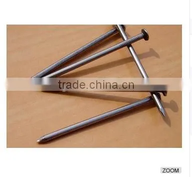 Galvanized Roofing Nails With Umbreall Head photo-3