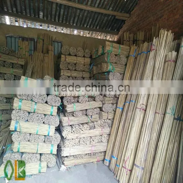 Cheap Bamboo Canes Poles for Gardening photo-2
