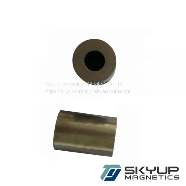 High Quality Strong AlNiCo5 Magnets With Small Shape for Sale