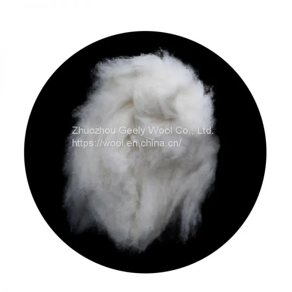 Sanxing High Quality Professional Sheep Wool photo-4