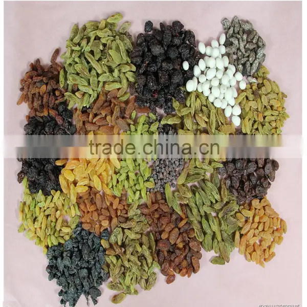 Dried Raisin Fruit