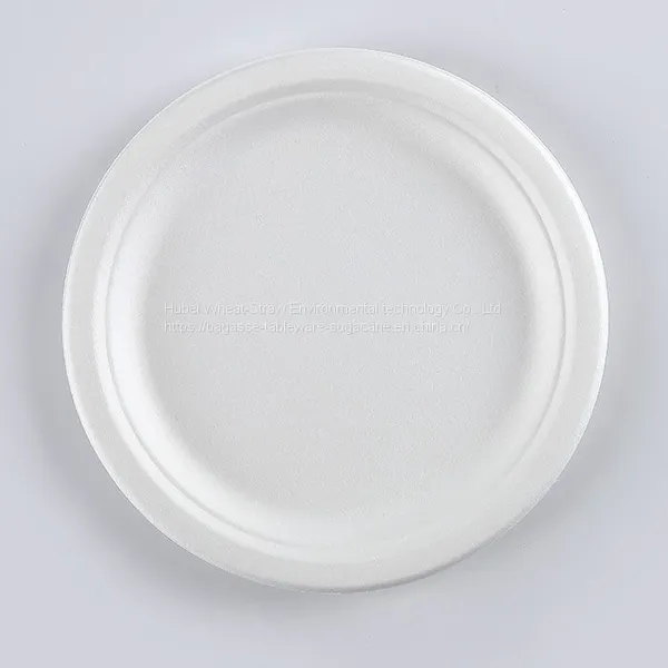 Disposable Biodegradable 9INCH PLATE Take Away Sugarcane photo-3