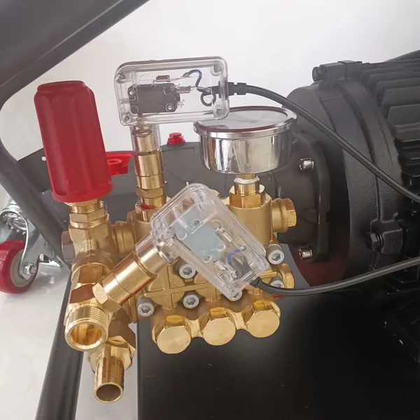 Plunger Pump Vehicles High Pressure Water Jet Electric Washer Pump photo-5