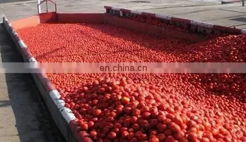 Fully Automatic Tomato Sauce/ Paste /powder Production Line photo-5