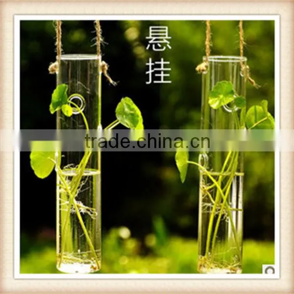 Hanging Glass Flower Water Vase Glass Terrariums Wholesale photo-2