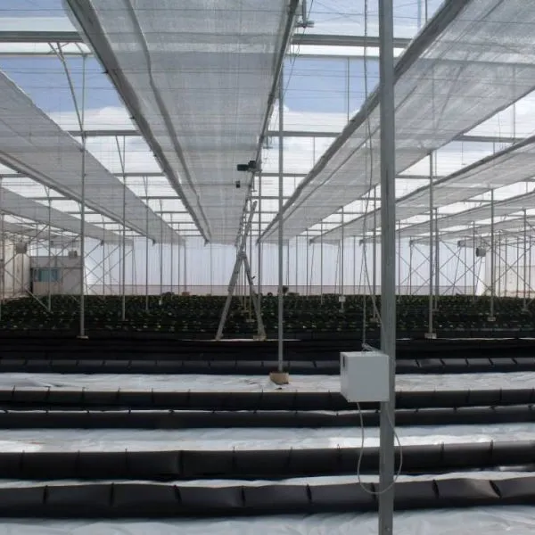 2025 Top Quality Greenhouse Thermal Screen photo-4