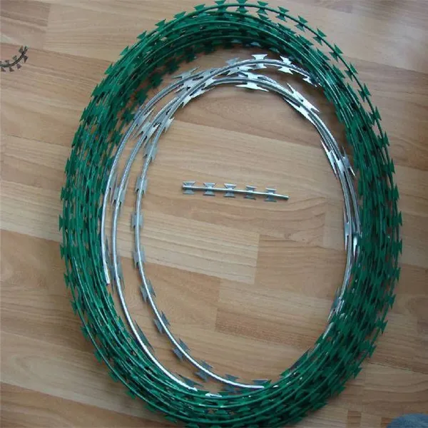 Customizable Galvanized Razor Barbed Wire Concertina Coil Galvanized 2.5MM Fence Roll for Sale photo-3