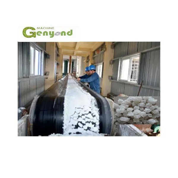 Salt Crushing Washing Drying Refining Making Machine Refinery Plant Salt Grinder Grinding Machine Salt Mill Crusher Machine