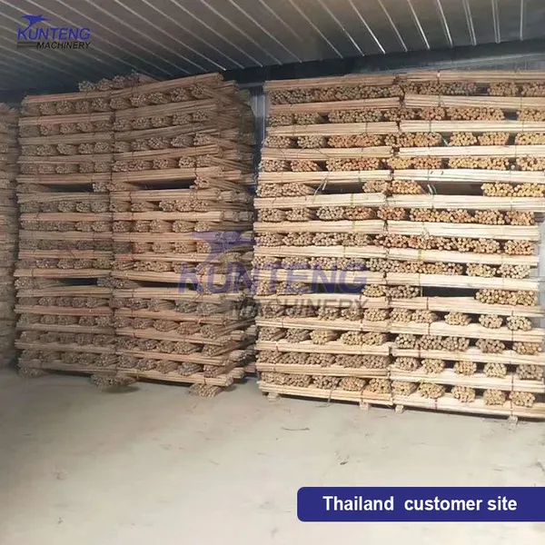 Heat Pump Electric Oak Dryer Red Sandalwood Drying Equipment Fir Cedar Wood Dryer EPC photo-3