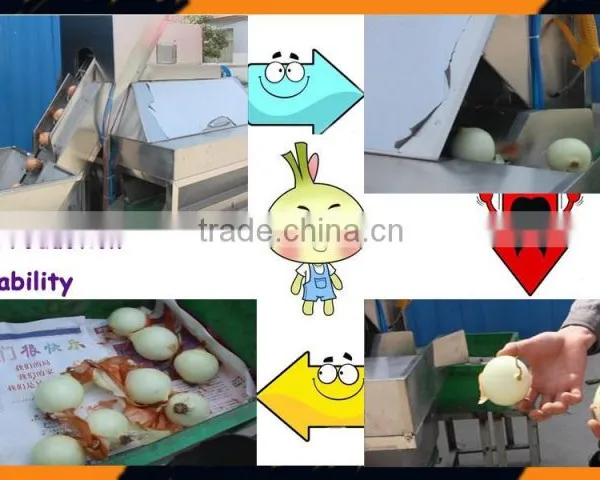 onion pulp machine