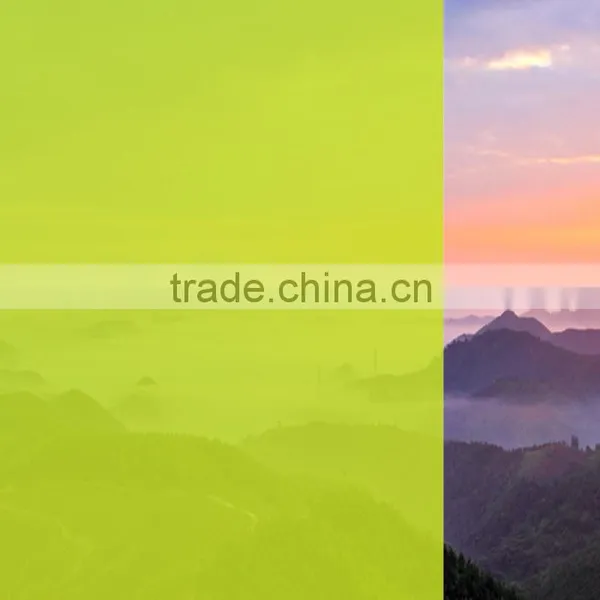 Light Yellow Glass Window Film for Building Decoration With High UV Rejection photo-6