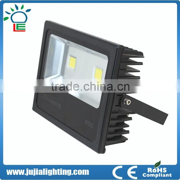 Up and Down OEM ODM 30w 60w 100w 150w Led Floodlight Supplier's Choice photo-4