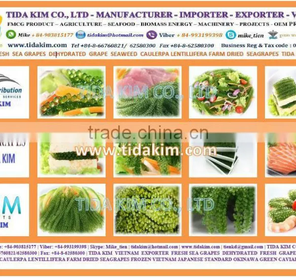 OREO BISCUIT TIDA KIM - OEM PRODUCTION - VIETNAM EXPORTER -MAIN DISTRIBUTOR INDO THAI photo-4