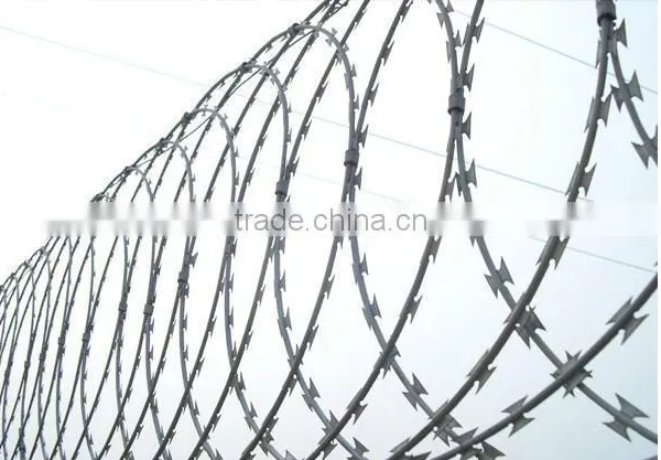 China Factory Concertina Razor Wire, Razor Wire Fencing, Razor Barbed Wire photo-4