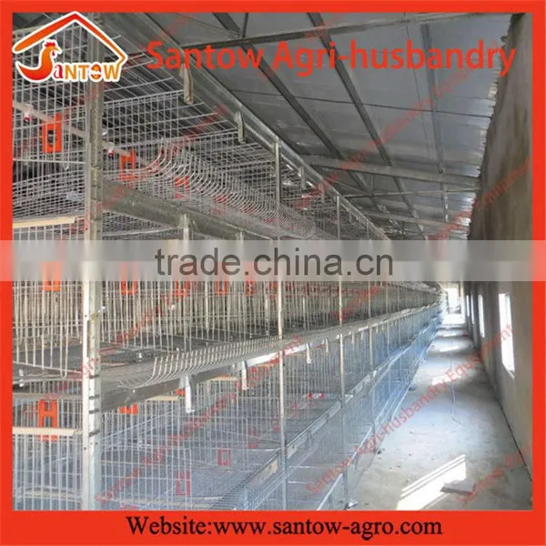 Stable Steel Structure Professional Chicken Egg Layer Cage Broiler Farm Design photo-6