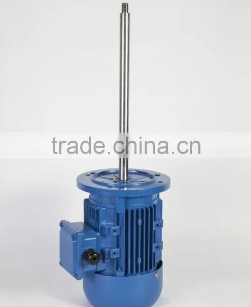 Small Three Phase Induction Motor