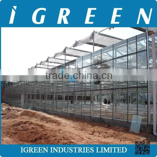 Venlo Type Flower Multi Span Commercial Greenhouse photo-3