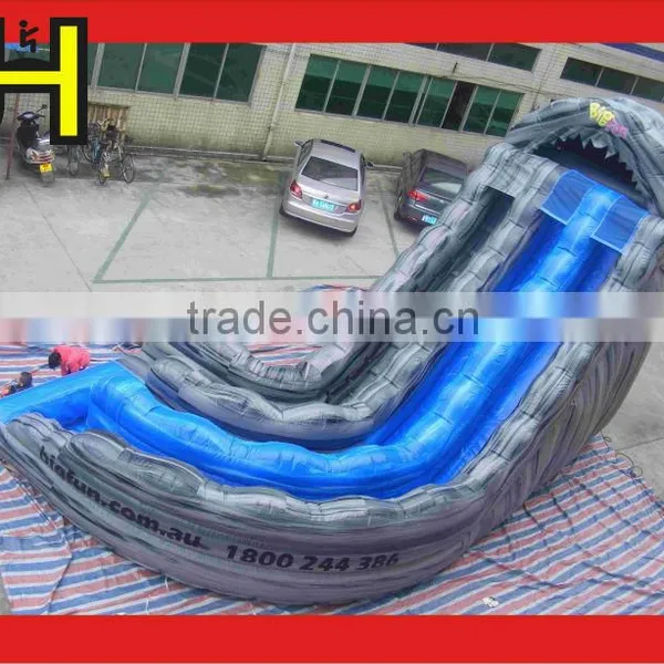 Hot Sale Customized Giant Amusement Park Inflatable Water Slide For Pool photo-4