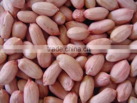 2015 New Peanut Kernel With Whole Price photo-5