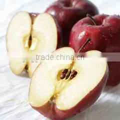 Common Cultivation Type and Apple Type Fresh Apples Fruit photo-4