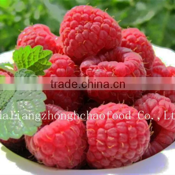 IQF /Raspberry in Frozen