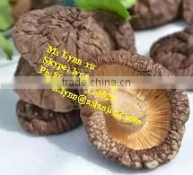 High Quality Mushroom /dry Shiitake Mushroom photo-2