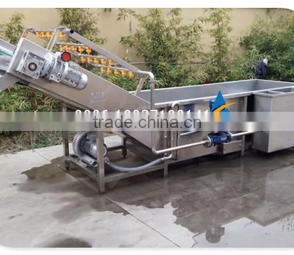 Commercial Use Stainless Steel Sweet Potato/taro/yam Vegetable Root Washing Machine photo-2
