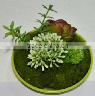 SJ0409032 Indoor Wall Hanging Mini Wall Art Decoration photo-3