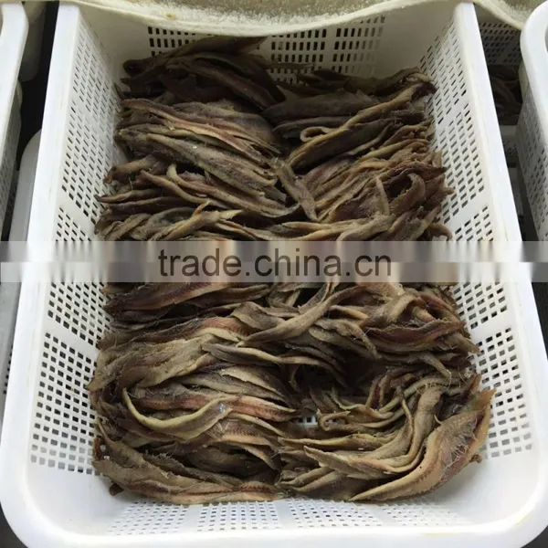 Bbest Quality Frozen Salted Anchovy Fillets photo-4