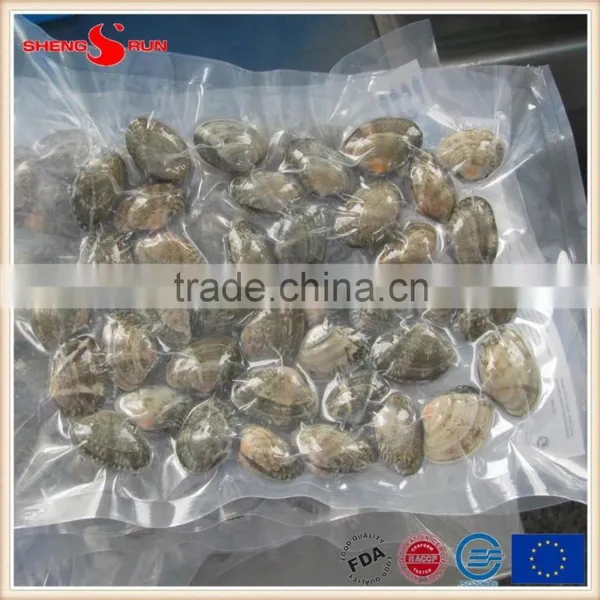 Frozen Boiled V-packed Baby Clam photo-3